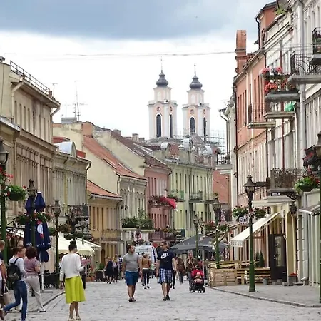 Modern Flat In Old Town - Free Parking & Self Check-in Apartment Kaunas