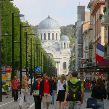 Apartment Modern Flat In Old Town - Free Parking & Self Check-in Kaunas